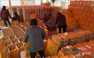 江西崇義 壯大村集體經濟 開創強村富民新局面